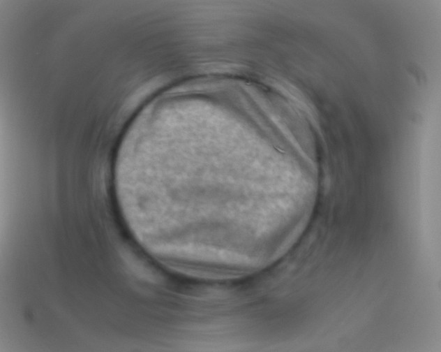 X0000113590107200910161852
