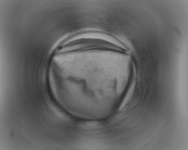 X0000113590108200910161851