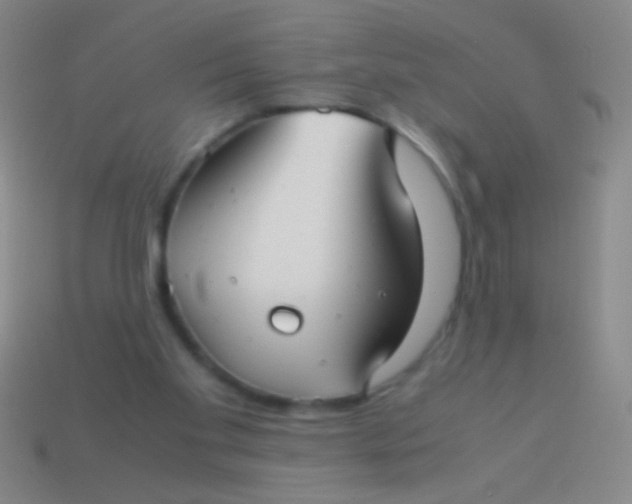 X0000113590109200910161851