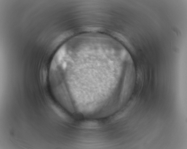 X0000113590110200910161851