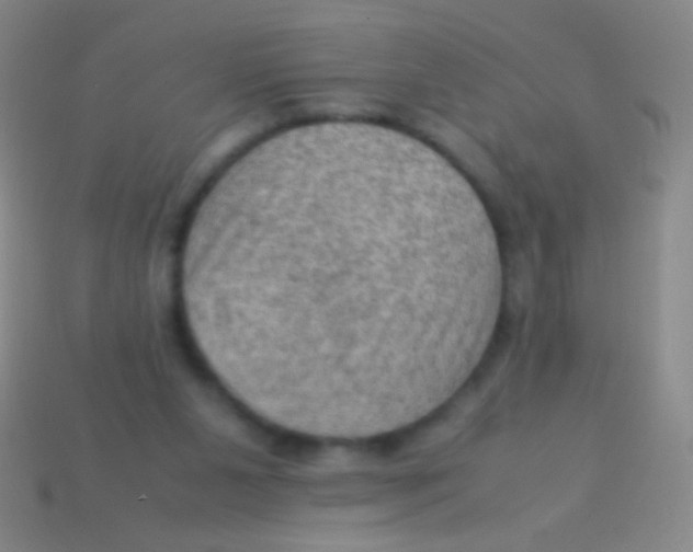 X0000113590111200910161851
