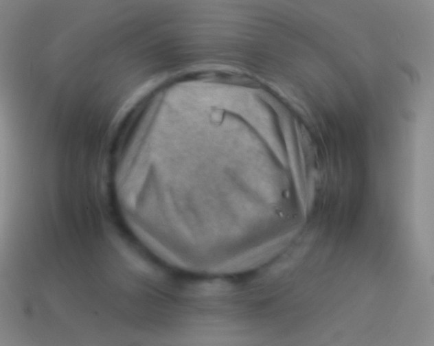 X0000113590112200910161851