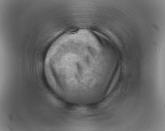 X0000113590113200910161851