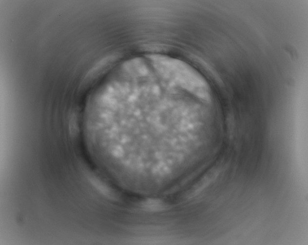 X0000113590114200910161851