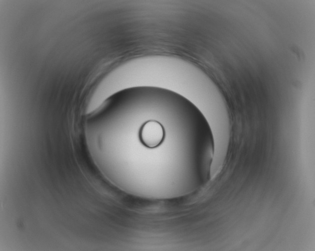 X0000113590116200910161851