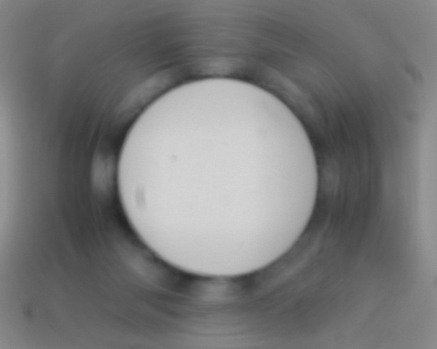 X0000113590118200910161851
