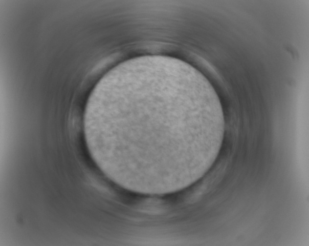 X0000113590119200910161851