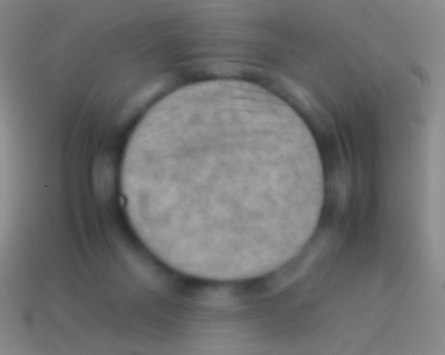 X0000113590120200910161851