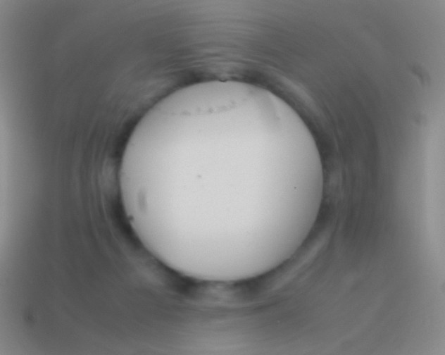 X0000113590121200910161851