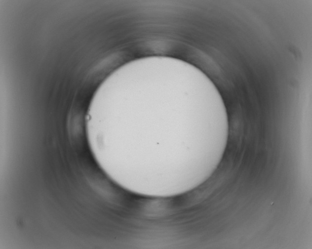 X0000113590122200910161851