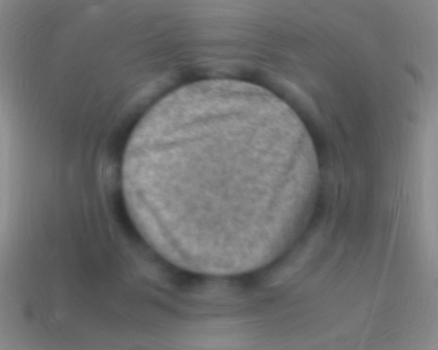 X0000113590123200910161851