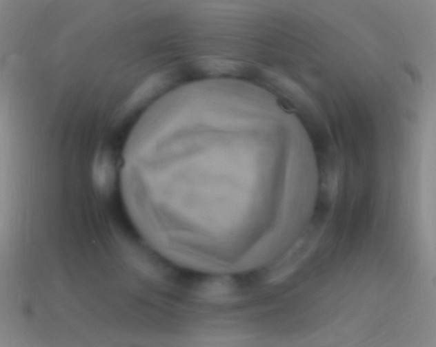 X0000113590124200910161851