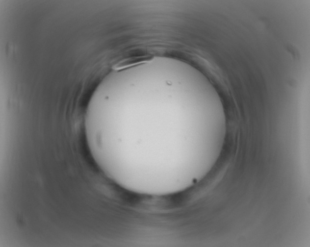 X0000113590125200910161851