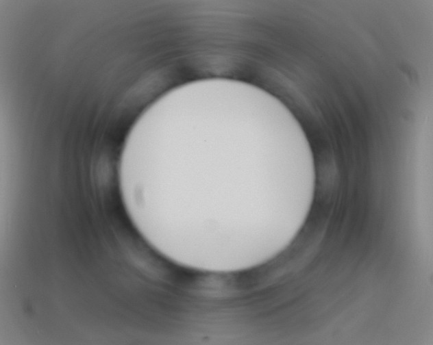 X0000113590126200910161851