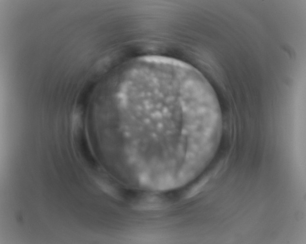 X0000113590127200910161851