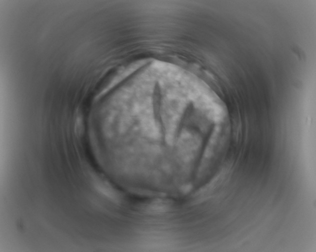 X0000113590128200910161851