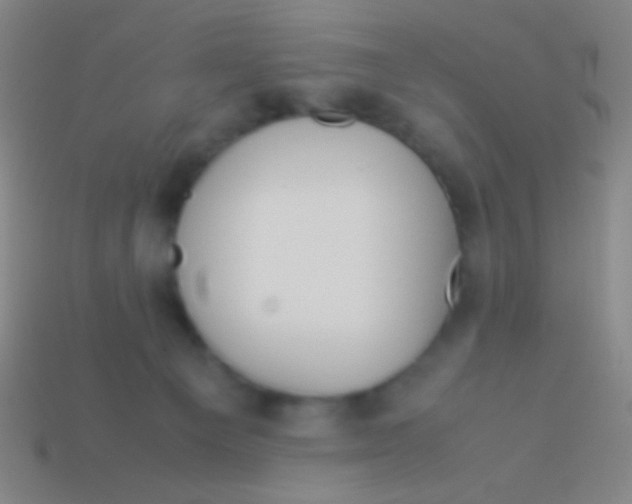 X0000113590129200910161851