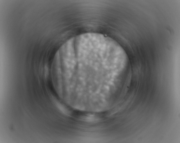X0000113590130200910161851
