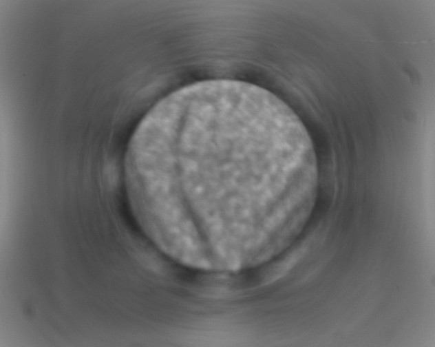 X0000113590131200910161851