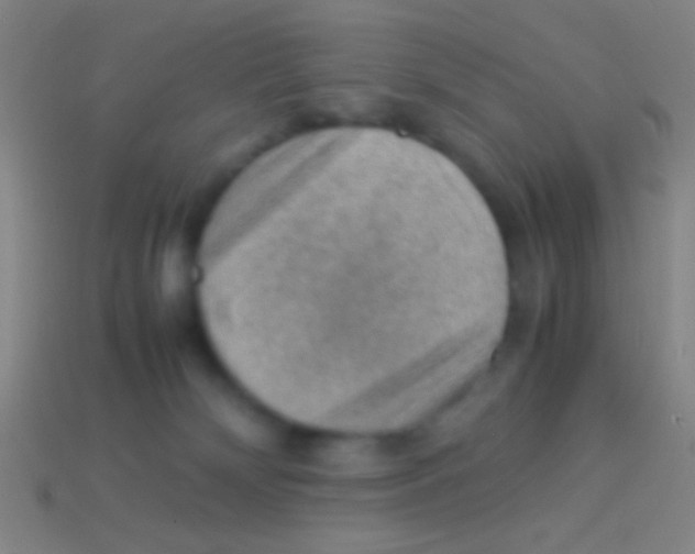 X0000113590132200910161851