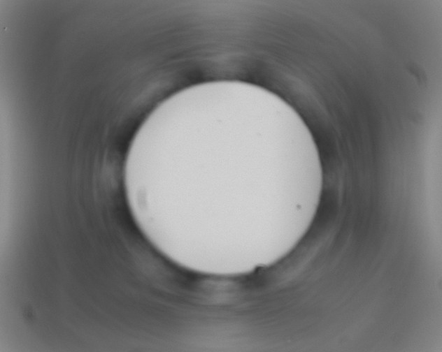 X0000113590133200910161851
