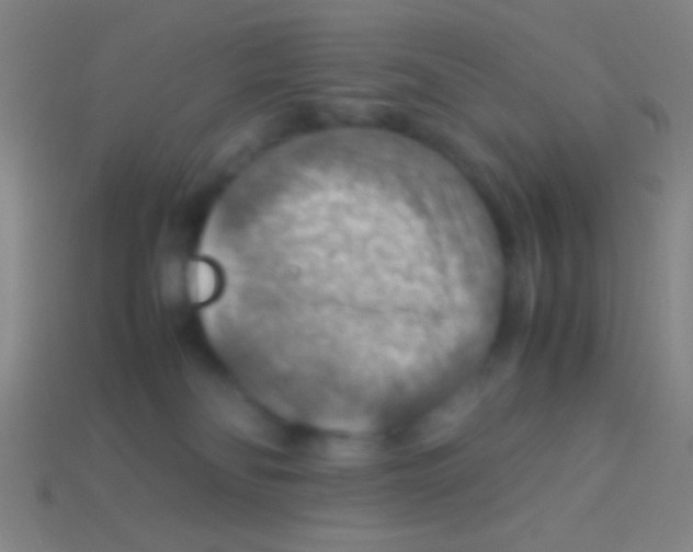X0000113590134200910161851