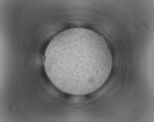 X0000113590135200910161851