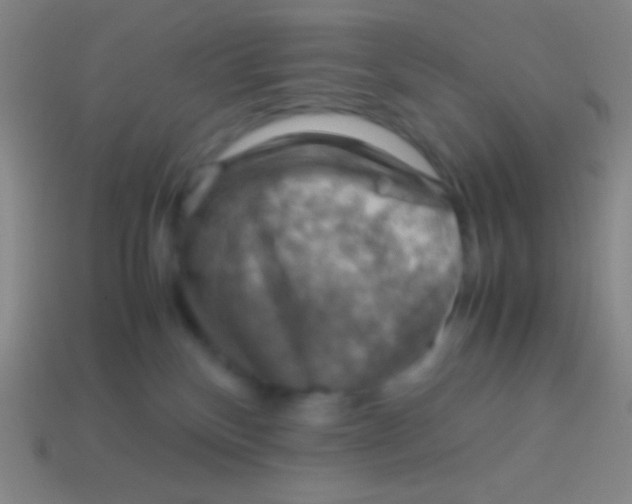 X0000113590136200910161851
