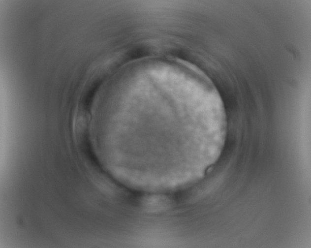 X0000113590137200910161851