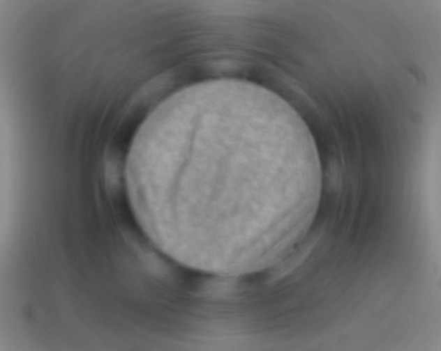 X0000113590138200910161851