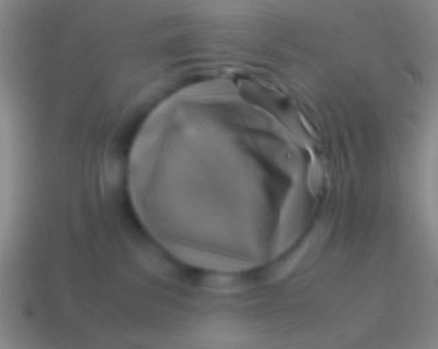 X0000113590139200910161851