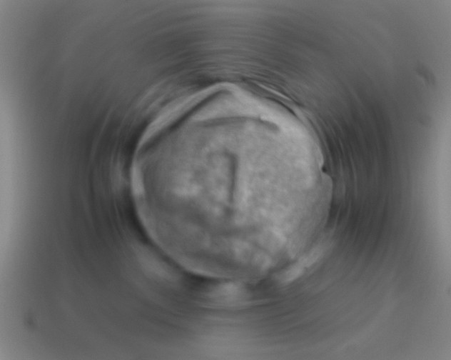 X0000113590140200910161851
