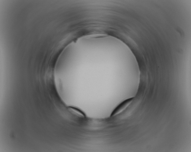X0000113590141200910161851