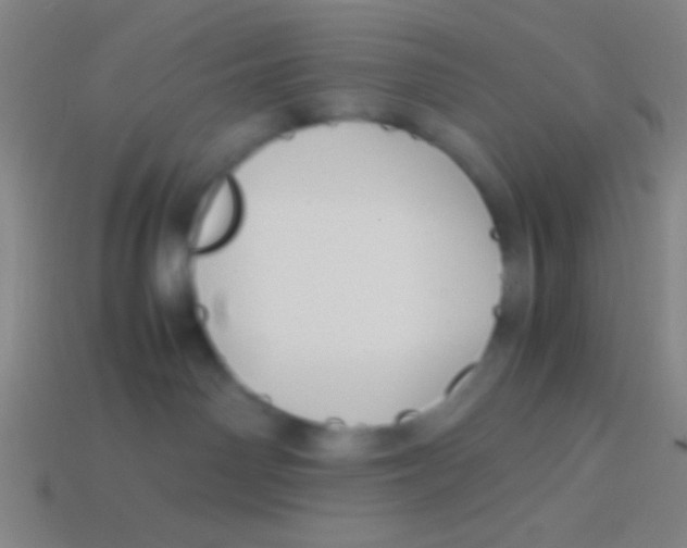 X0000113590142200910161851