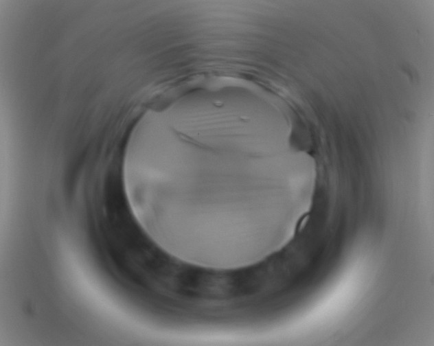 X0000113590143200910161851