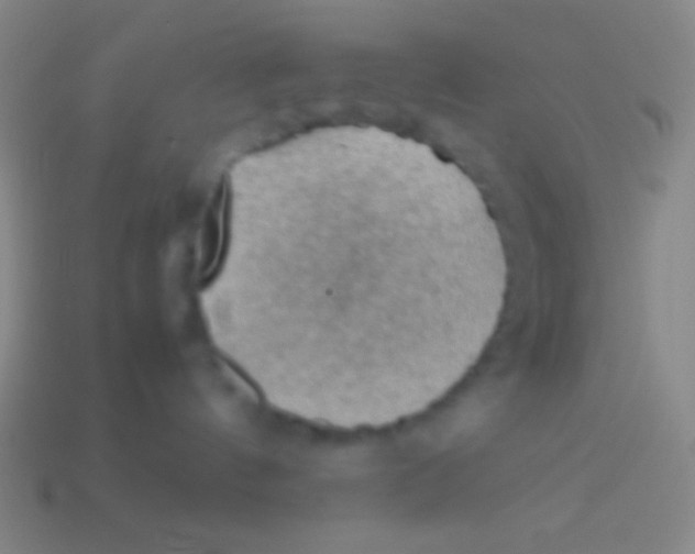 X0000113590144200910161851
