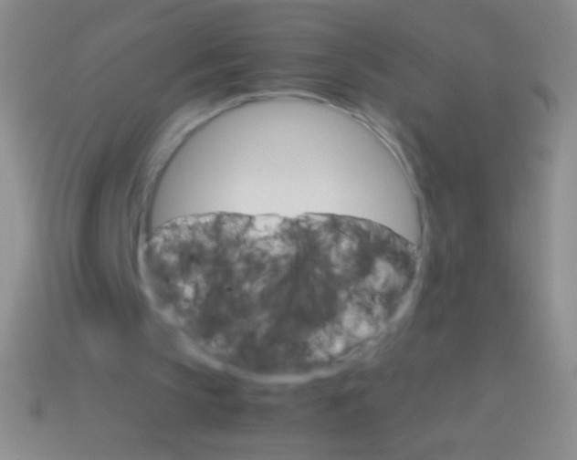 X0000113590145200910161850