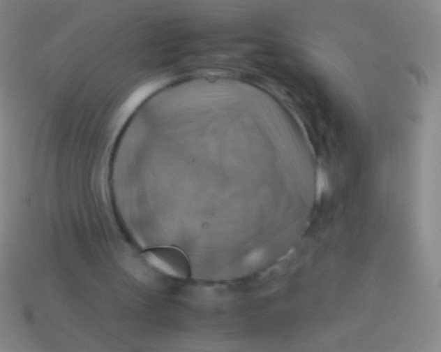 X0000113590147200910161850