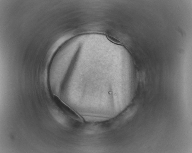 X0000113590148200910161850