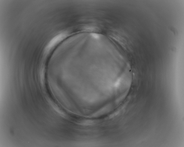X0000113590149200910161850