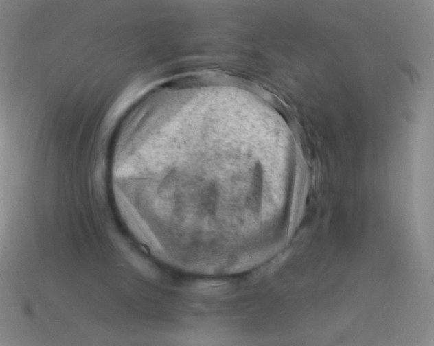X0000113590150200910161850