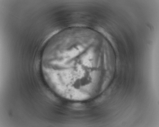 X0000113590153200910161850
