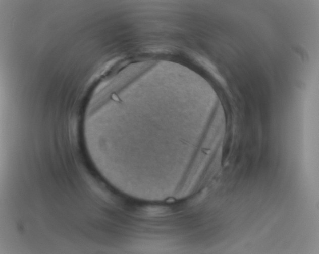 X0000113590154200910161850