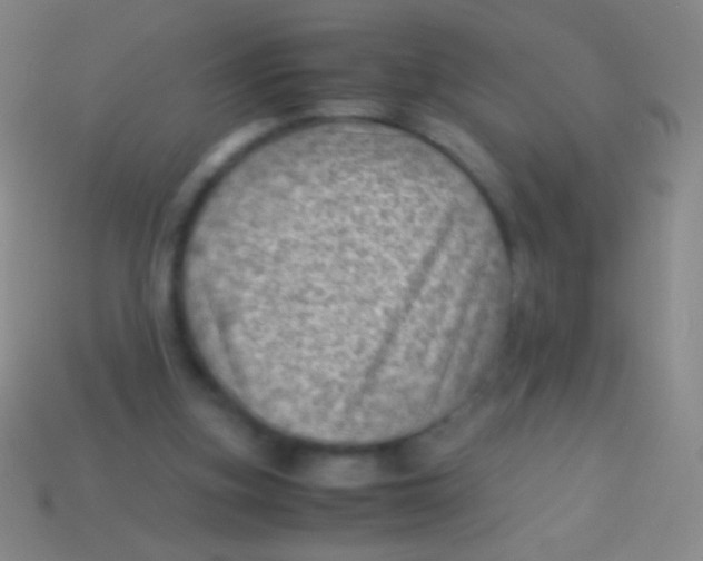 X0000113590155200910161850
