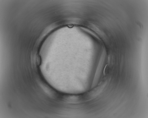 X0000113590156200910161851