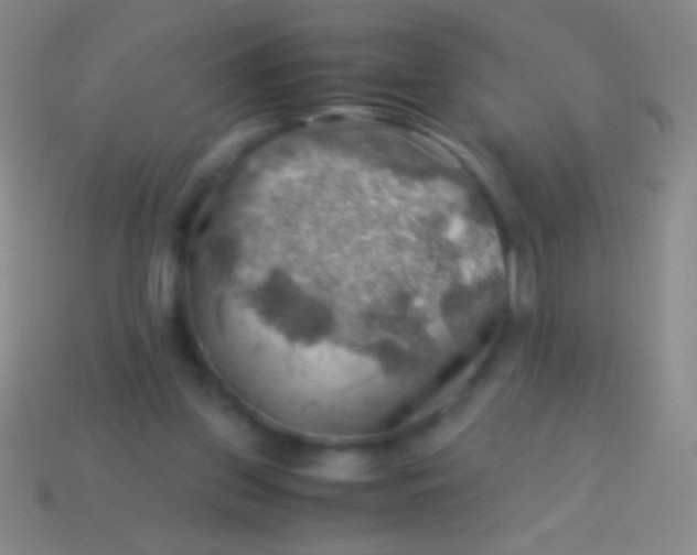 X0000113590157200910161851