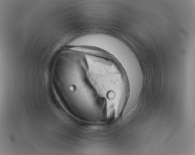 X0000113590158200910161851