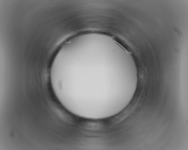 X0000113590160200910161851