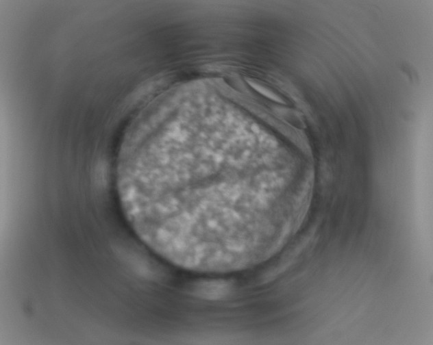 X0000113590161200910161851