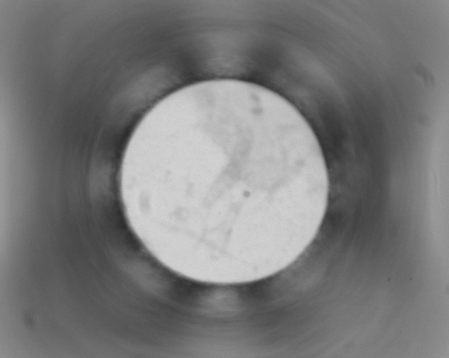 X0000113590162200910161851